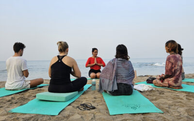 The Yoga Lifestyle: Balance, Focus, Discipline